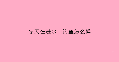 冬天在进水口钓鱼怎么样(冬天入水口有鱼吗)