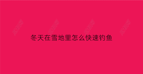 冬天在雪地里怎么快速钓鱼(冬天在雪地里怎么快速钓鱼视频)