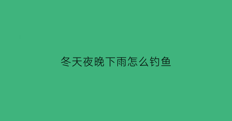 冬天夜晚下雨怎么钓鱼(冬天夜晚下雨怎么钓鱼最好)