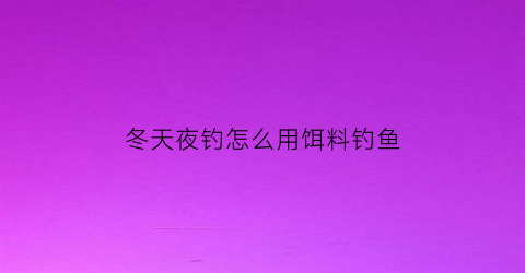 冬天夜钓怎么用饵料钓鱼(冬天夜钓效果怎么样)