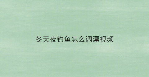 冬天夜钓鱼怎么调漂视频(冬天夜钓大鱼技巧)