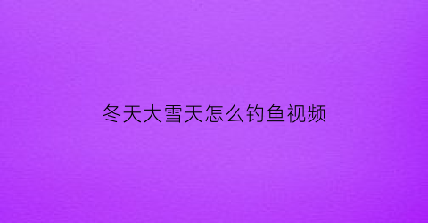 冬天大雪天怎么钓鱼视频
