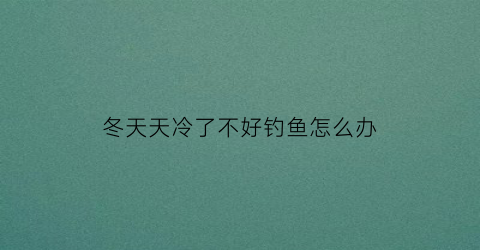 冬天天冷了不好钓鱼怎么办(冬天天气冷怎么钓鱼)