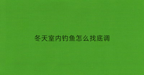 冬天室内钓鱼怎么找底调(冬天钓鱼钓底)