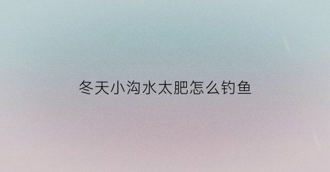 冬天小沟水太肥怎么钓鱼(冬天小沟里有鱼吗)