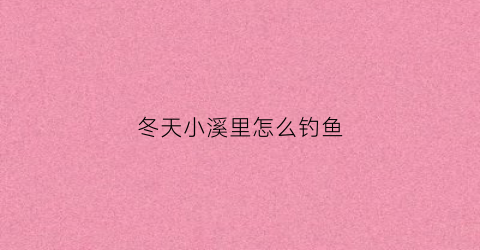 冬天小溪里怎么钓鱼(冬天小溪里有鱼吗)