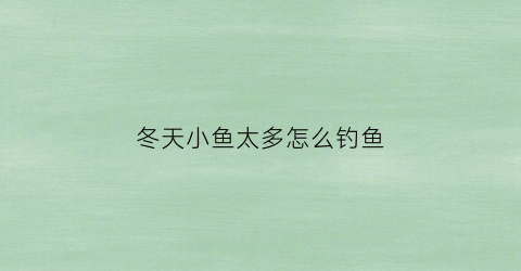 冬天小鱼太多怎么钓鱼(冬天小鱼太多怎么钓鱼视频)