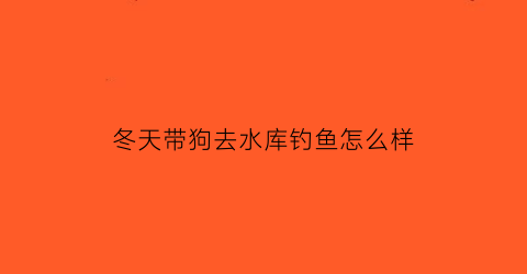 冬天带狗去水库钓鱼怎么样(冬天适合遛狗吗)