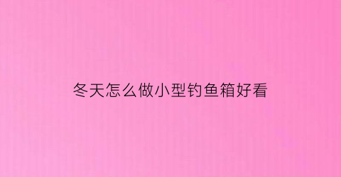 冬天怎么做小型钓鱼箱好看(冬天钓鱼神器)