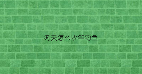 “冬天怎么收竿钓鱼(冬季钓鱼用手竿还是抛竿)