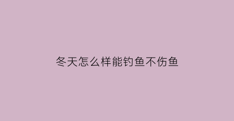 “冬天怎么样能钓鱼不伤鱼(冬天怎么样能钓鱼不伤鱼呢)