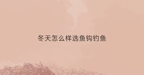 冬天怎么样选鱼钩钓鱼(冬天怎么样选鱼钩钓鱼饵料)