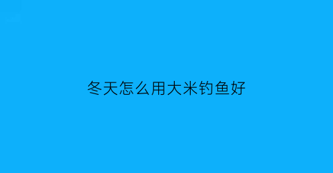 “冬天怎么用大米钓鱼好(冬天用米饭钓鲫鱼可以吗)