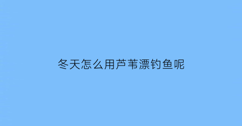 冬天怎么用芦苇漂钓鱼呢