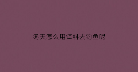 冬天怎么用饵料去钓鱼呢(冬天怎么用饵料去钓鱼呢视频)