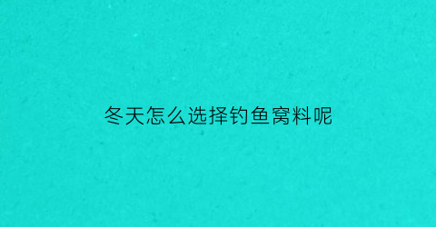 冬天怎么选择钓鱼窝料呢(冬天钓鱼用什么窝料最有效)