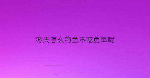 “冬天怎么钓鱼不吃鱼饵呢(冬天怎么钓鱼不吃鱼饵呢)