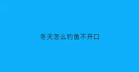 冬天怎么钓鱼不开口(冬天这么钓鱼)