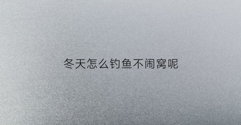 冬天怎么钓鱼不闹窝呢(冬天怎么才能钓到大鱼)