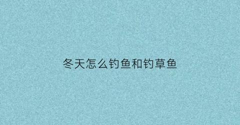 冬天怎么钓鱼和钓草鱼(冬季怎么钓草鱼钓大物)