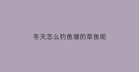 冬天怎么钓鱼塘的草鱼呢(冬天鱼塘钓草鱼钓深还是钓浅)