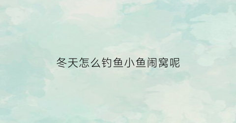 冬天怎么钓鱼小鱼闹窝呢(冬季小鱼闹窝用什么饵)