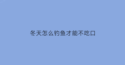 冬天怎么钓鱼才能不吃口