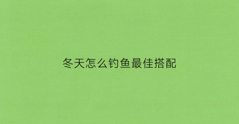 冬天怎么钓鱼最佳搭配(冬天钓鱼绝招)
