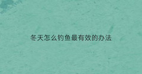 冬天怎么钓鱼最有效的办法(冬天钓鱼小技巧)