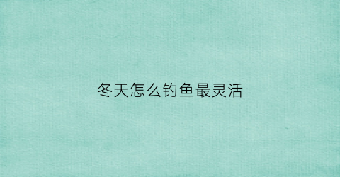 冬天怎么钓鱼最灵活(冬天怎么钓鱼最灵活呢)