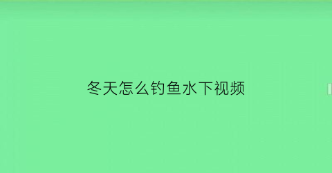 “冬天怎么钓鱼水下视频(冬天怎么钓鱼水下视频教学)