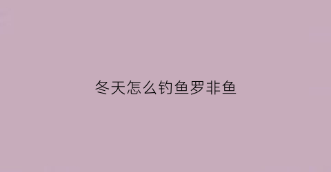 冬天怎么钓鱼罗非鱼