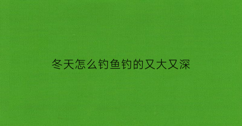 冬天怎么钓鱼钓的又大又深(冬天怎样钓鱼钓多深)