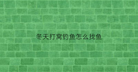 冬天打窝钓鱼怎么找鱼(冬天怎么打窝诱鱼)