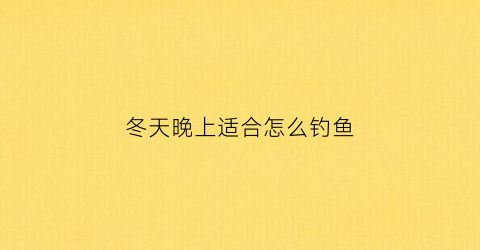 冬天晚上适合怎么钓鱼(冬天晚上适合钓鱼吗)