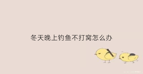 冬天晚上钓鱼不打窝怎么办(冬天晚上钓不到鱼)