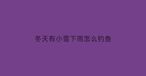 冬天有小雪下雨怎么钓鱼(小雪天可以钓鱼吗)