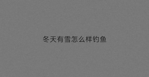 冬天有雪怎么样钓鱼(冬天雪后好钓鱼吗)