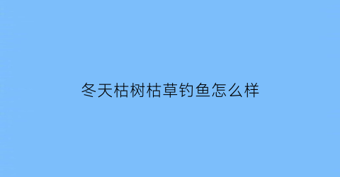 冬天枯树枯草钓鱼怎么样