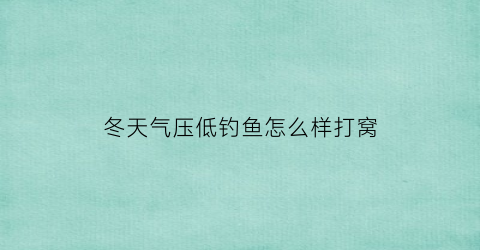 冬天气压低钓鱼怎么样打窝(冬天气压低钓鱼怎么样打窝最好)