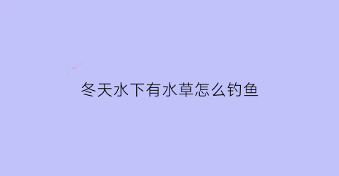 冬天水下有水草怎么钓鱼(冬天浅水水草区能钓鱼吗)