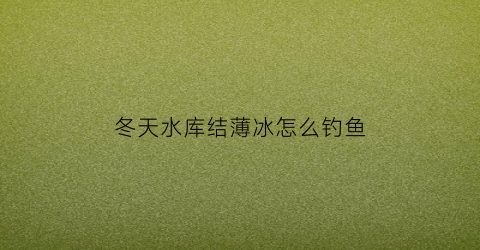 冬天水库结薄冰怎么钓鱼(冬天水库钓鱼用什么饵料)