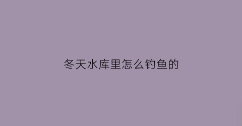 冬天水库里怎么钓鱼的(冬天水库里怎么钓鱼的呢)