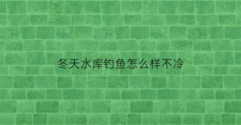 冬天水库钓鱼怎么样不冷(冬天水库怎么钓不到鱼)