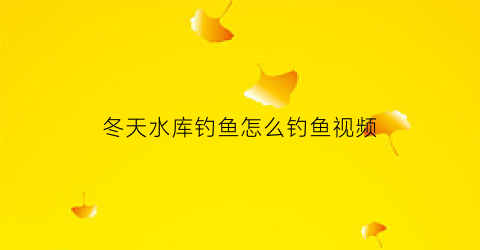 冬天水库钓鱼怎么钓鱼视频(冬天水库钓鱼怎么钓鱼视频讲解)