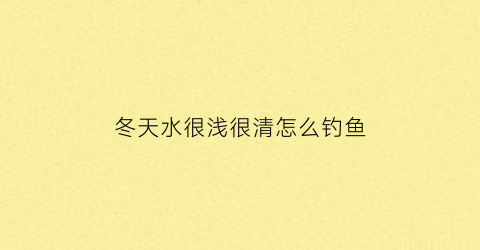 “冬天水很浅很清怎么钓鱼(冬天水很浅很清怎么钓鱼呢)