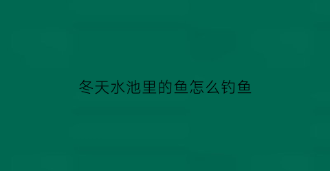 冬天水池里的鱼怎么钓鱼(冬天水池怎么养鱼)