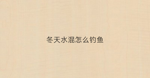 冬天水混怎么钓鱼(冬天水浅怎么钓鱼)