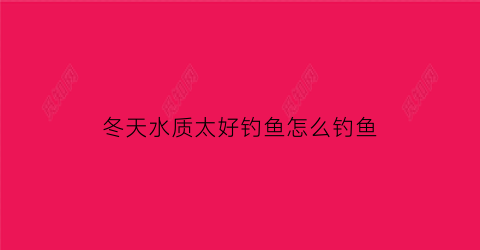 “冬天水质太好钓鱼怎么钓鱼(冬天水很清怎么钓鱼)