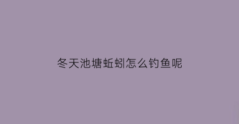 冬天池塘蚯蚓怎么钓鱼呢(冬天池塘蚯蚓怎么钓鱼呢视频)